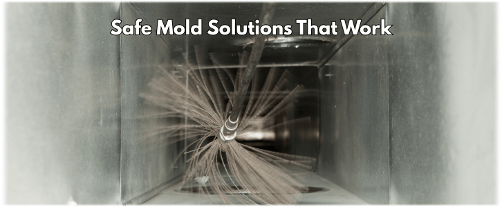 Air Duct Mold Removal in Sugar Land TX