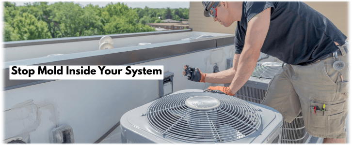 HVAC Mold Removal Sugar Land TX